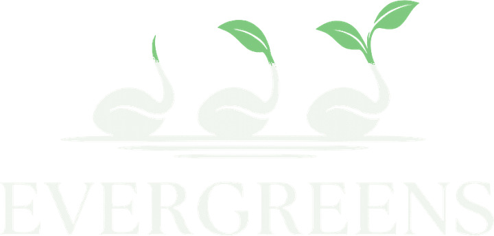 Evergreens