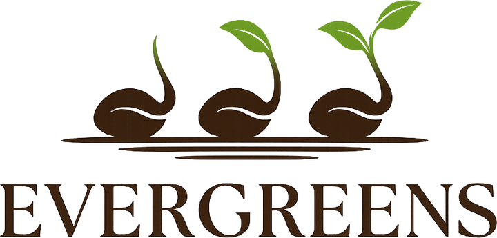 Evergreens